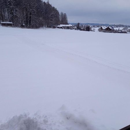 Apartmán Haus Maier Marquartstein Exteriér fotografie